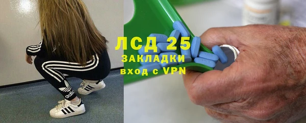 дурь Богданович