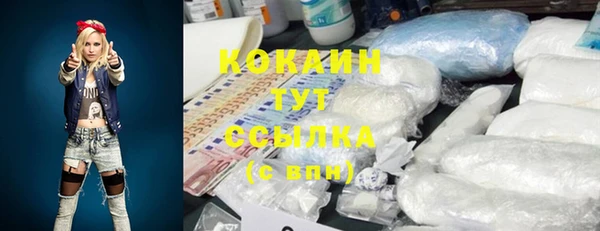 дурь Богданович
