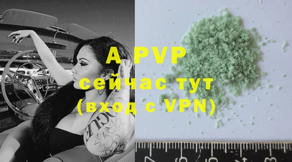 дурь Богданович