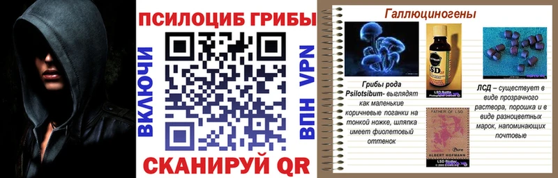 Псилоцибиновые грибы Psilocybine cubensis  маркетплейс формула  Назарово 