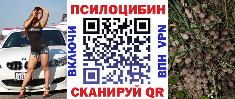Псилоцибиновые грибы мицелий Назарово